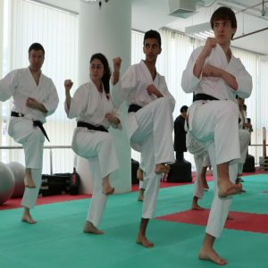 martial arts physical training